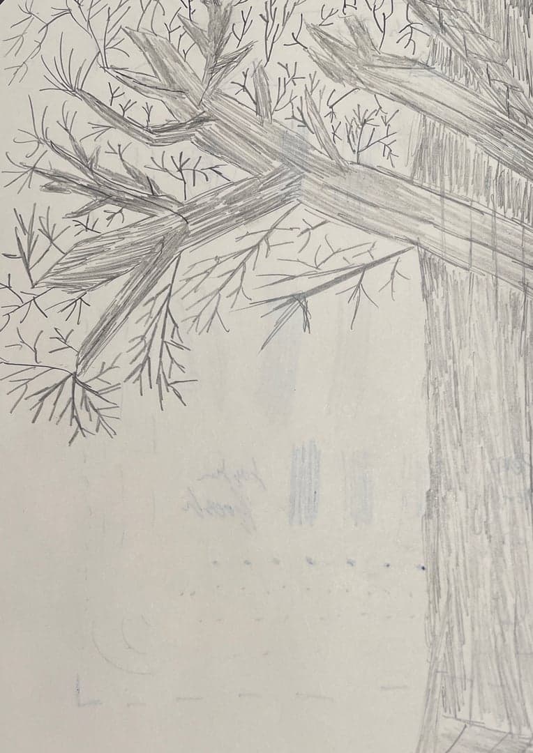 Art for Tree Sketch (L)