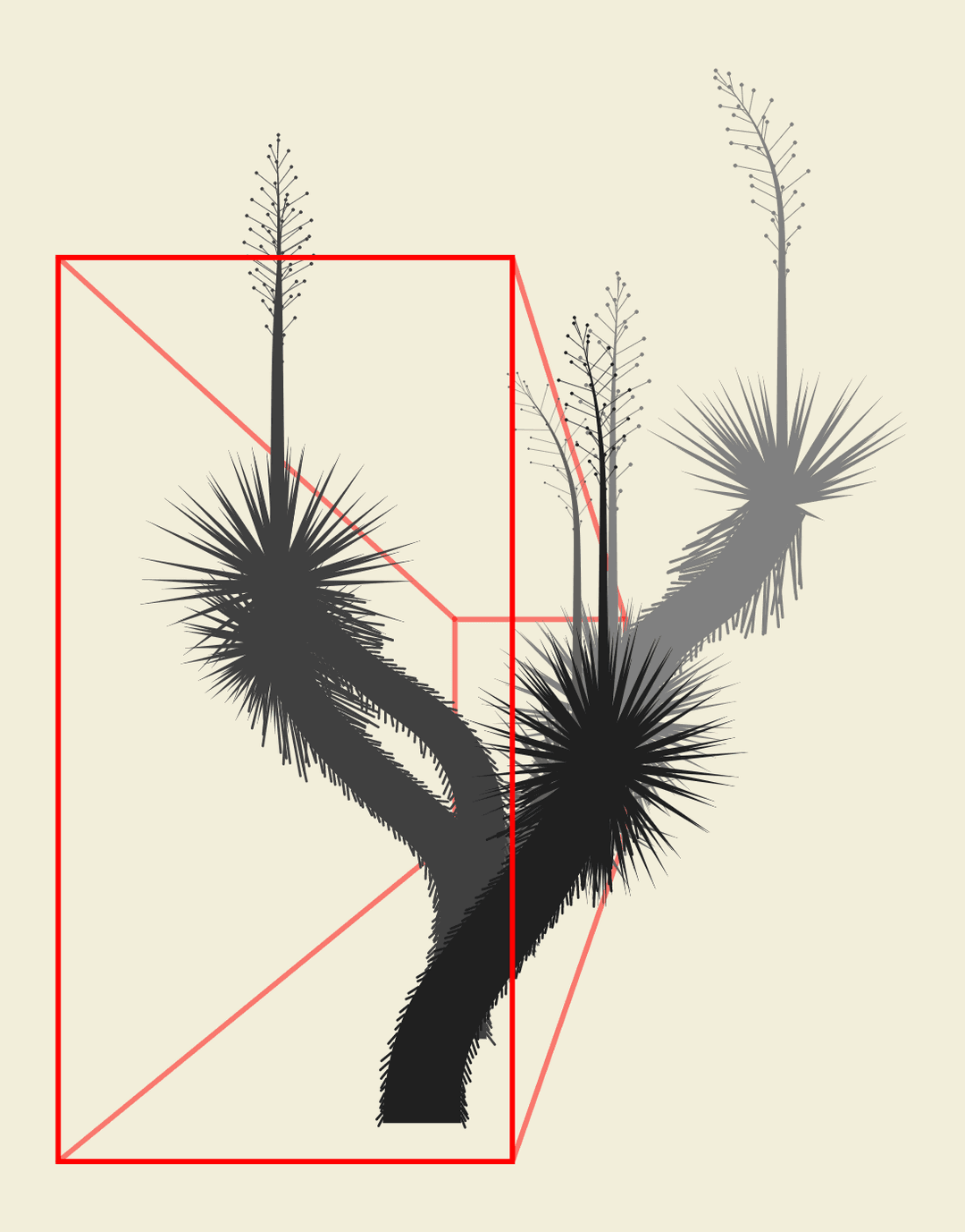 Art for Early Marfa Yucca